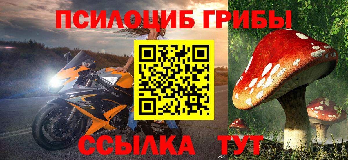 Галлюциногенные грибы прущие грибы  продажа наркотиков  Вход с VPN  Ульяновск  Галлюциногенные грибы Cubensis 